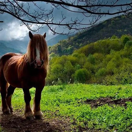 Berghuette Mit Terrasse- Kamin Und Jacuzzi By Interhome *